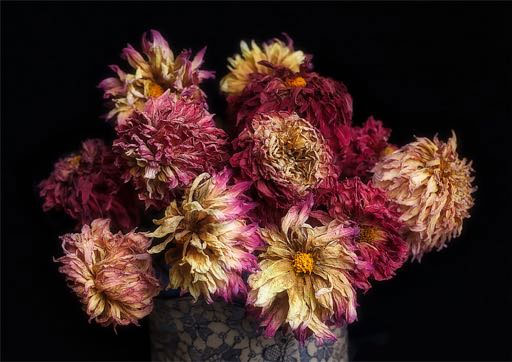 Long Island Dahlia Society