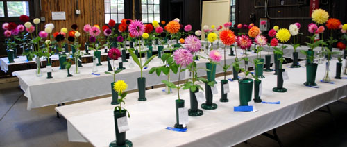 Long Island Dahlia Society